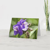 Wild Flower Scripture Note Kaart Hebrews 11:1 (Voorkant)