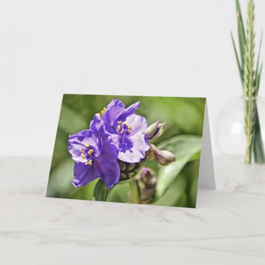 Wild Flower Scripture Note Kaart Hebrews 11:1 (Voorkant)