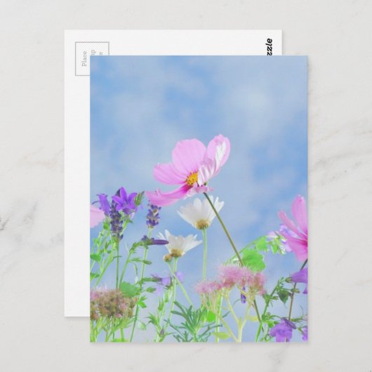 Wild Flowers Blue Sky Briefkaart (Voorkant / Achterkant)
