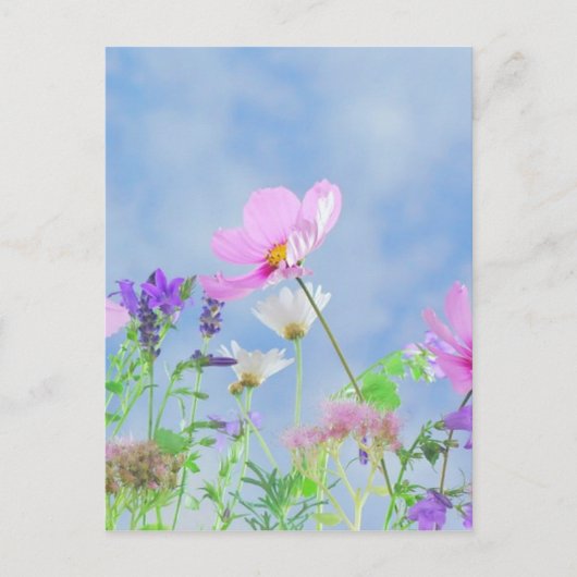 Wild Flowers Blue Sky Briefkaart (Voorkant)