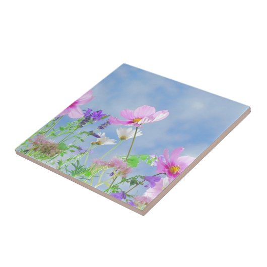 Wild Flowers Blue Sky Tegeltje (Zijkant)