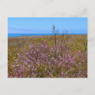 Wild Flowers Briefkaart
