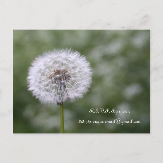 Wild Flowers bruiloft uitnodigingen en gunsten (Achterkant)