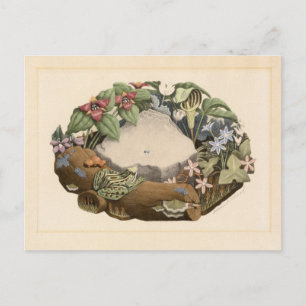 Wild Flowers by Grant Wood Briefkaart