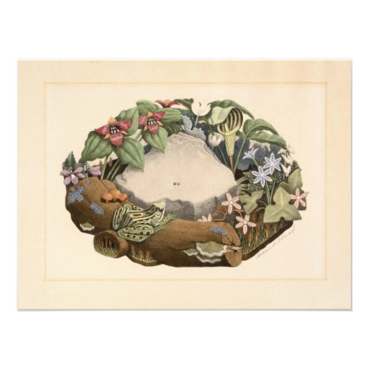 Wild Flowers by Grant Wood Foto Afdruk (Voorkant)