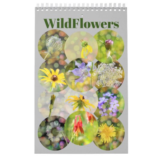 Wild Flowers Fotografie Kalender (Hoes)
