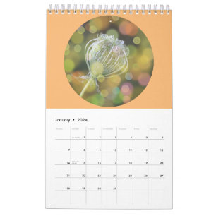 Wild Flowers Fotografie Kalender