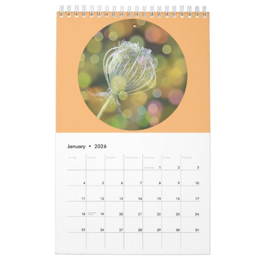 Wild Flowers Fotografie Kalender (Jan 2026)