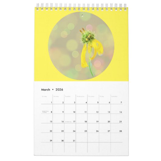 Wild Flowers Fotografie Kalender (Mar 2026)