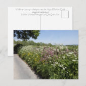 Wild flowers Herefordshire Briefkaart (Voorkant / Achterkant)