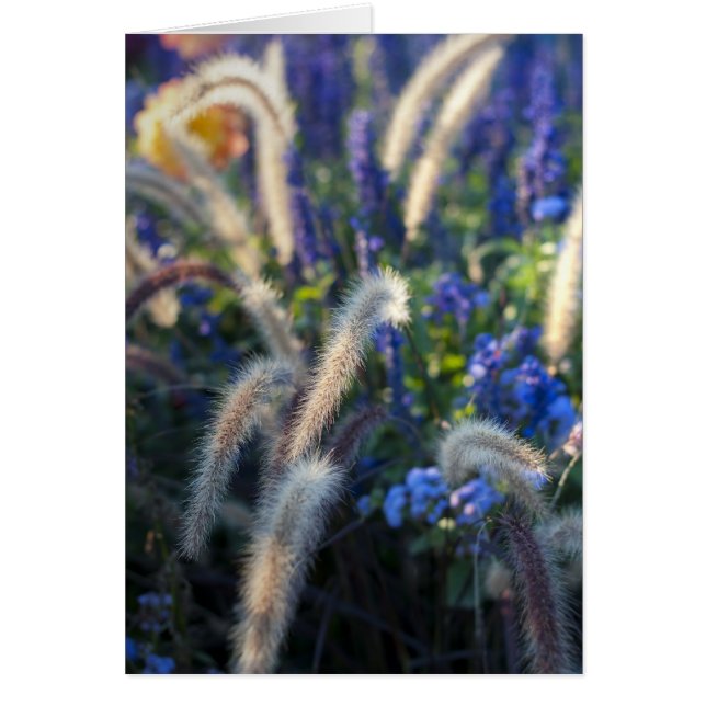 Wild Flowers Kaart (Voorkant)