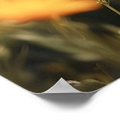 *~* Wild Flowers Kat 5:4 Sky Kitten Cat AP68 Poster (Hoek)