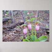 Wild Flowers Lady Slippers Poster (Voorkant)
