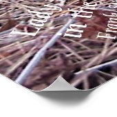 Wild Flowers Lady Slippers Poster (Hoek)