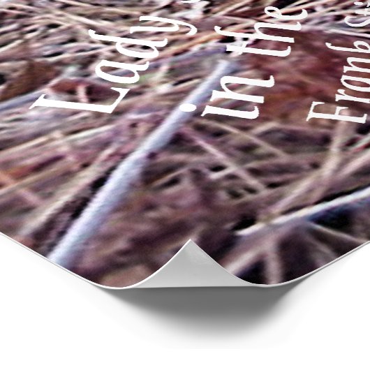 Wild Flowers Lady Slippers Poster (Hoek)