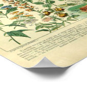  Wild Flowers Meadow Planten Poster (Hoek)