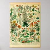  Wild Flowers Meadow Planten Poster (Voorkant)