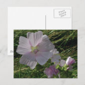 Wild Flowers No. 3 | BRIEFKAARTEN (Voorkant / Achterkant)