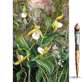 Wild Flowers of Simla, India door Marianne North Tissuepapier