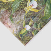 Wild Flowers of Simla, India door Marianne North Tissuepapier (Detail)