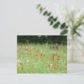 Wild Flowers Poppies Bench DIY Briefkaart (Staand voorkant)