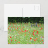 Wild Flowers Poppies Bench DIY Briefkaart (Voorkant / Achterkant)