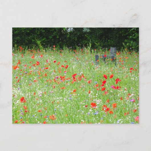 Wild Flowers Poppies Bench DIY Briefkaart (Voorkant)
