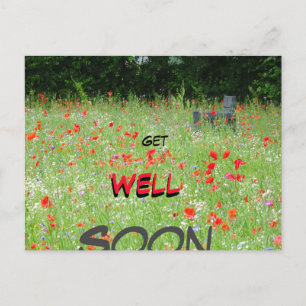 Wild Flowers Poppies Bench Get Well Binnenkort Bri Briefkaart