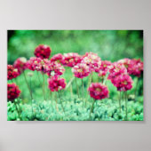 Wild Flowers Poster (Voorkant)