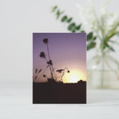 Wild Flowers Sunset Briefkaart (Staand voorkant)