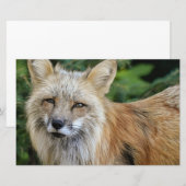 Wild Fox Briefpapier (Voorkant / Achterkant)