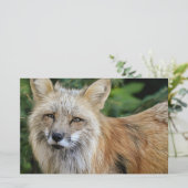 Wild Fox Briefpapier (Staand voorkant)