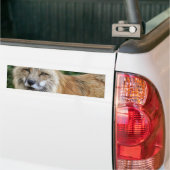 Wild Fox Bumpersticker (Op Truck)