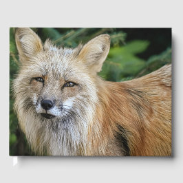 Wild Fox Gastenboek