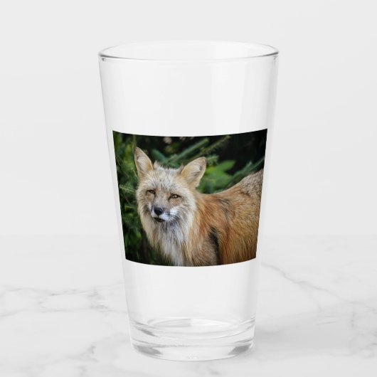 Wild Fox Glas (Voorkant)