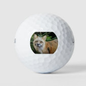 Wild Fox Golfballen (Voorkant)