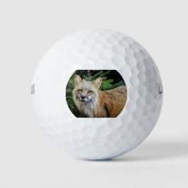 Wild Fox Golfballen
