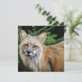 Wild Fox Kaart (Staand voorkant)