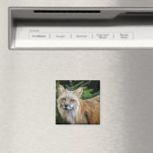 Wild Fox Magneet (Insitu (Vaatwasser))