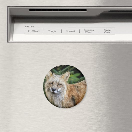 Wild Fox Magneet (Insitu (Vaatwasser))