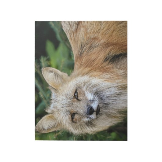 Wild Fox Notitieblok (Linkerzijde)