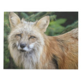 Wild Fox Notitieblok (Voorkant)
