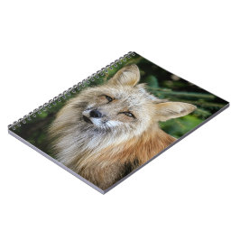 Wild Fox Notitieboek