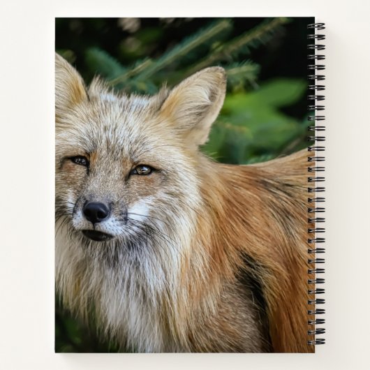 Wild Fox Notitieboek (Achterkant)