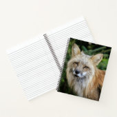 Wild Fox Notitieboek (Binnen)
