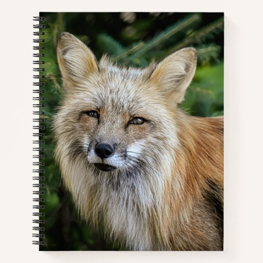 Wild Fox Notitieboek (Voorkant)