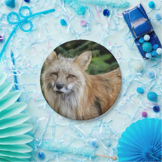 Wild Fox Papieren Bordje (Feest)