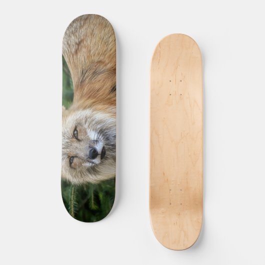 Wild Fox Persoonlijk Skateboard (Voorkant)
