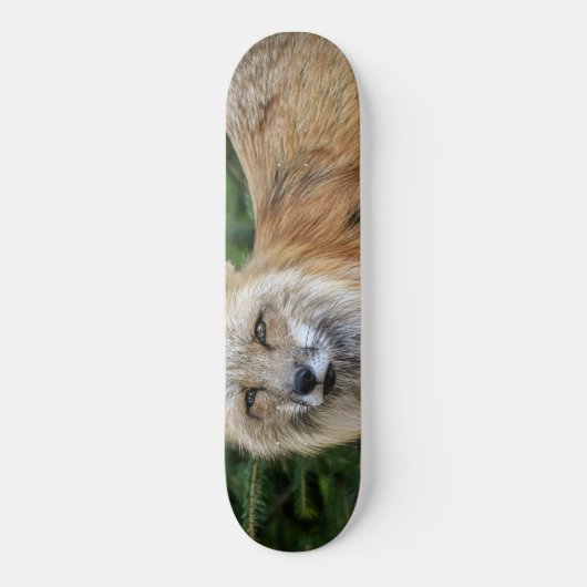 Wild Fox Persoonlijk Skateboard (Voorkant)