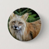Wild Fox Ronde Button 5,7 Cm (Voorkant)